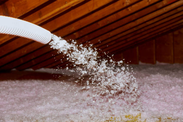 Best Cellulose Insulation in East Basin, UT
